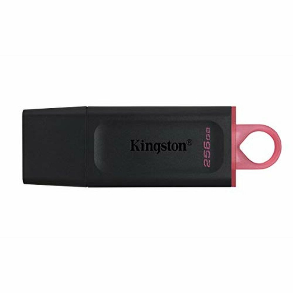 Memorie USB Kingston DTX/256GB Breloc Negru 256 GB