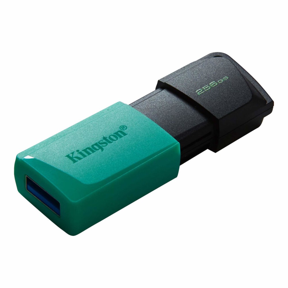 Pendrive Kingston DTXM/256GB Breloc Negru Turquoise 256 GB