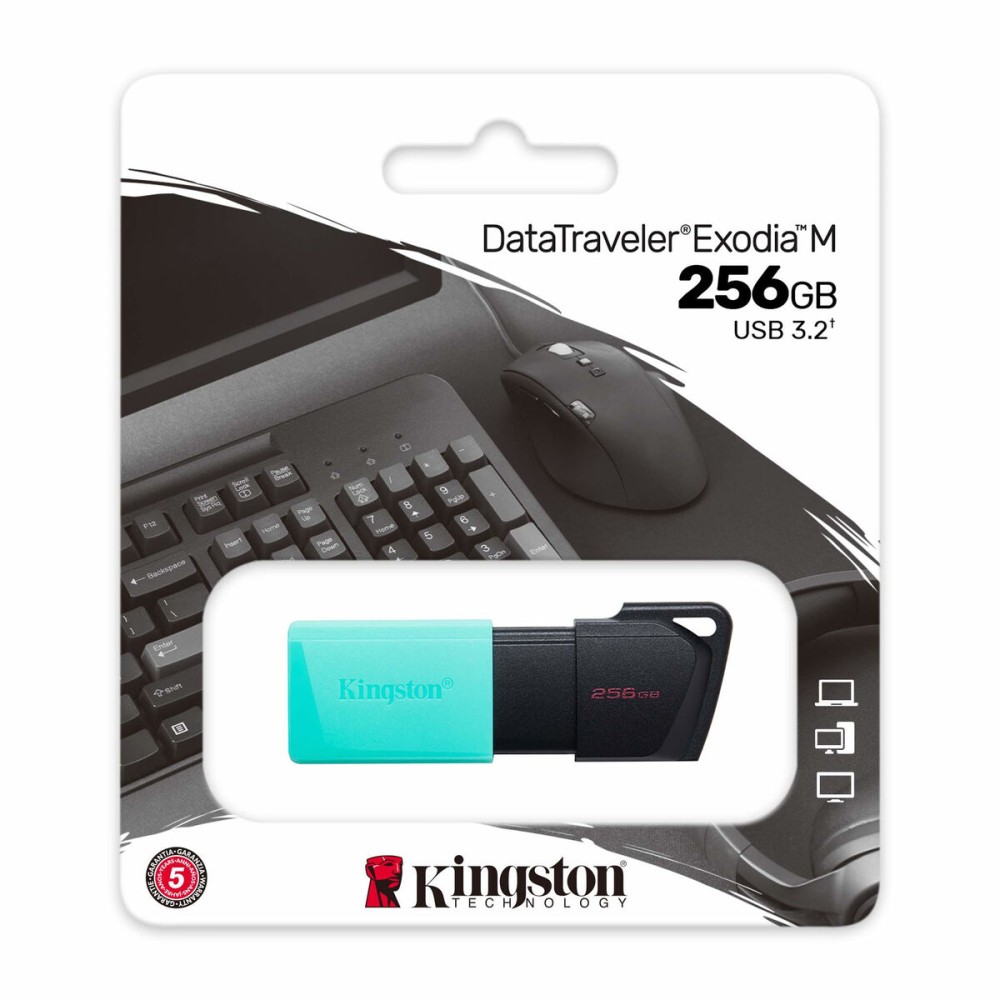 Pendrive Kingston DTXM/256GB Breloc Negru Turquoise 256 GB