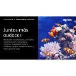 Toner Original Xerox 006R04624 Negru