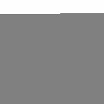 Husă pentru Tabletă Targus THZ976GL