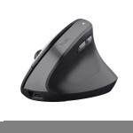 Mouse Trust 25371 Negru 2400 dpi