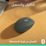 Mouse Logitech 910-007459 Grafit 1000 dpi