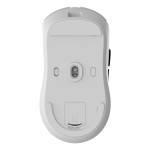 Mouse Fără Fir CoolBox COO-MOU-W03-W Alb 10000 dpi