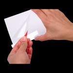 Folie de Ecran pentru Nintendo Switch 2 Powera NSAC0530-01