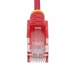 Conector RJ45 Categoria 6 FTP Startech N6PAT10MRDS Roșu 10 m