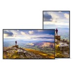 Monitor Videowall Sharp 60006181 4K Ultra HD 43"
