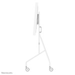 Suport de Masă pentru Ecran Neomounts FL50-515WH1 55" 65"