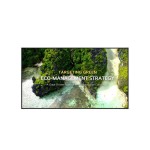 Monitor Videowall LG 43UL3Q-E.AEU 4K Ultra HD 43"