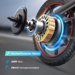 Bicicletă Electrică DYU DYU-D3S-001 Negru 250 W 10 Ah 14"