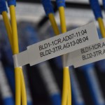 Imprimantă Termică Brother PTE920BTZ1 Negru Portocaliu
