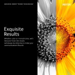 Cartuș cu Cerneală Originală Xerox 116R00039