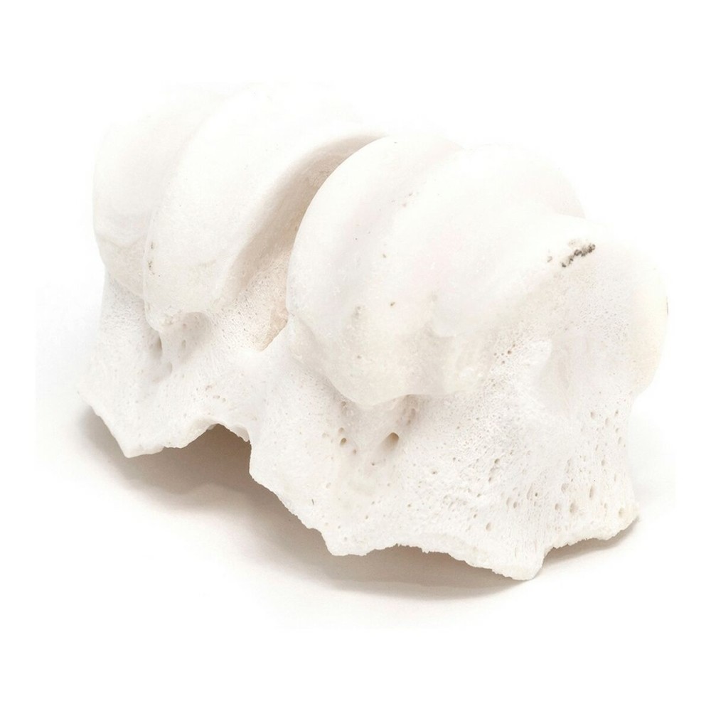 Gustare pentru câini Gloria Vițel Calciu Monturile pumnului