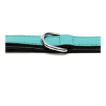Zgardă pentru câini Gloria Căptușit Turquoise (30 x 1,5 cm)