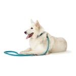Lesă pentru câine Hunter HILO Turquoise 200 cm