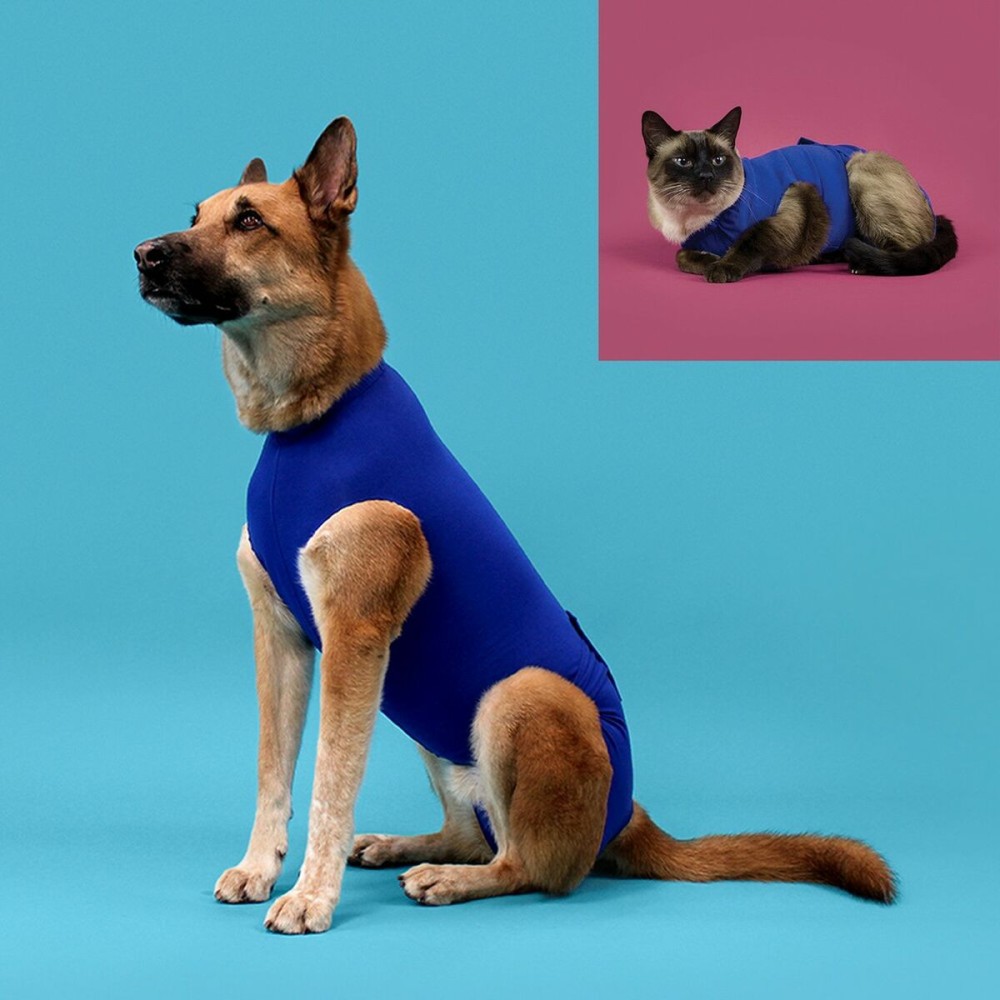 Tricou de recuperare pentru animale de companie KVP 45-53 cm Albastru