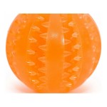 Jucărie pentru câini Gloria Îngrijire dentară TPR Culori asortate (7 cm)