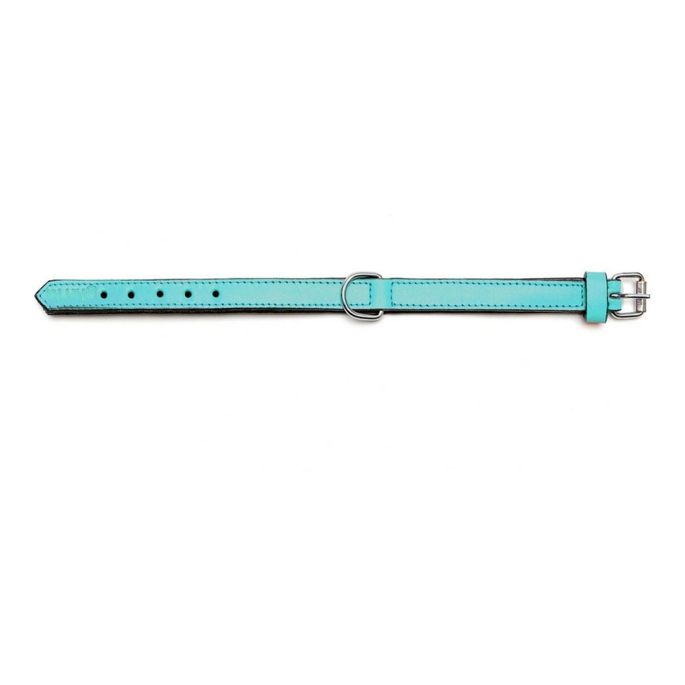 Zgardă pentru câini Gloria Căptușit Turquoise (35 x 1,5 cm)
