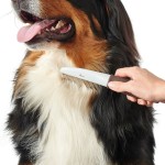 Pieptene Hunter Maro Plastic 12 Greblă Rotativ