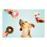 Jucărie din pluș pentru câini Gloria Gloicecream Multicolor Poliester polipropilenă Înghețată 9 x 9 x 17 cm