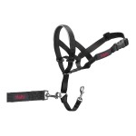 Gulerele de dresaj pentru câini Company of Animals Halti Negru Botniță (40-54 cm)