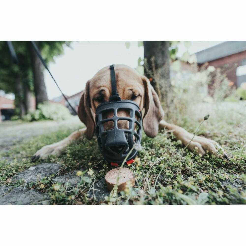 Botniță Hunter Albury 3 Negru