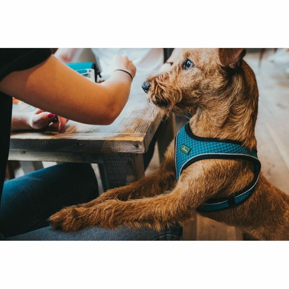 Ham pentru câini Hunter Negru 37-42 cm Antracit XS/S