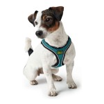 Ham pentru câini Hunter Hilo Comfort 55-60 cm Mărimea M Turquoise
