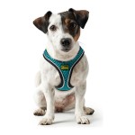 Ham pentru câini Hunter Hilo Comfort 55-60 cm Mărimea M Turquoise