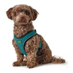 Ham pentru câini Hunter Hilo Comfort 55-60 cm Mărimea M Turquoise