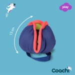 Training toy Coachi CHASE & TREAT Albastru