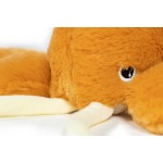 Jucărie din pluș pentru câini Gloria Portocaliu Poliester polipropilenă