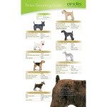 Pieptene de ridicare Andis S Polimer 9 Unități