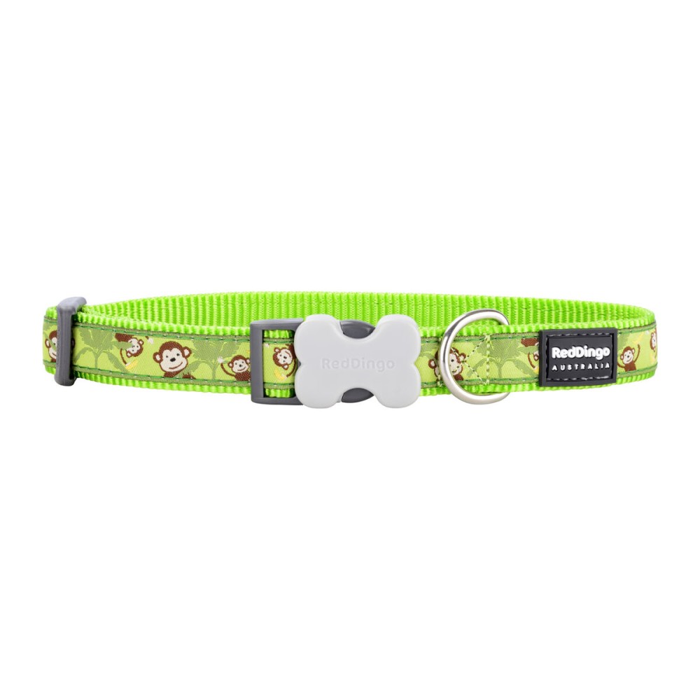 Zgardă pentru câini Red Dingo STYLE MONKEY LIME GREEN 15 mm x 24-36 cm
