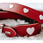 Zgardă pentru câini Hunter Love S/M 35-40 cm Rojo/Blanco