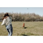 Jucărie pentru câini Hunter