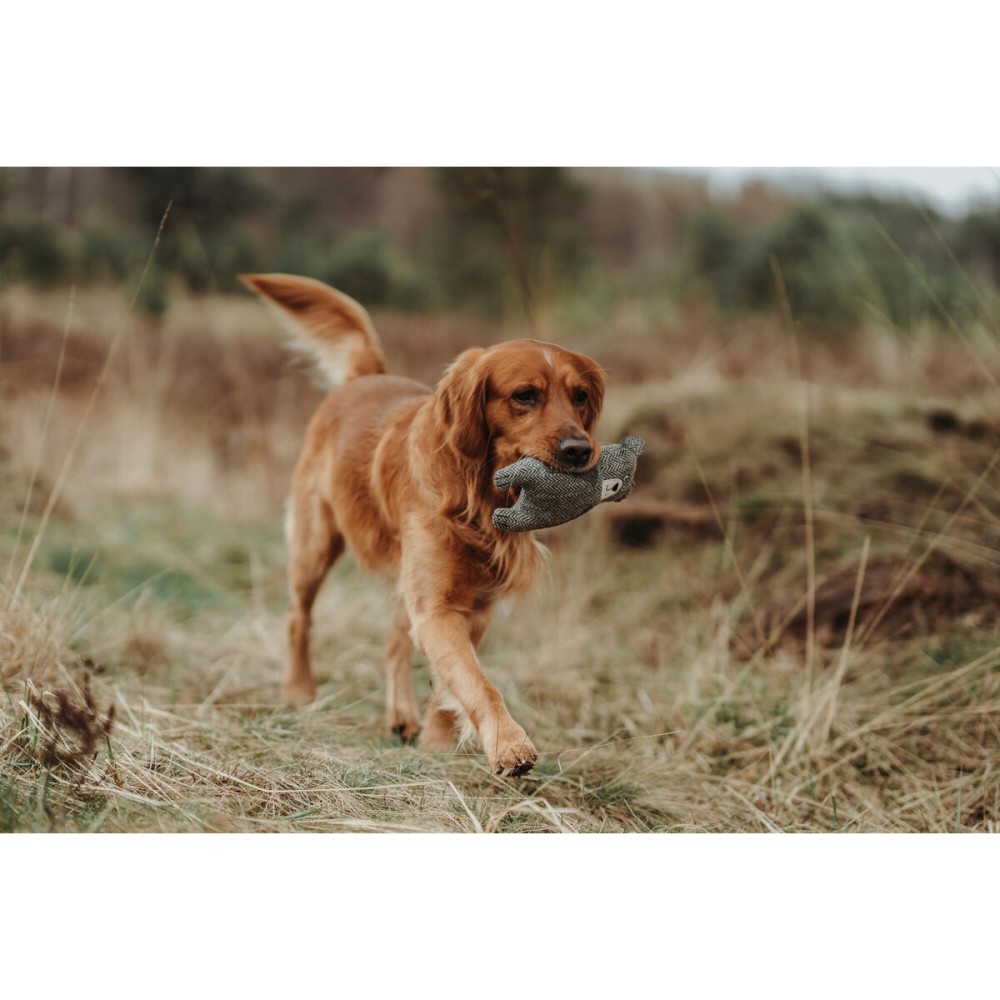 Jucărie din pluș pentru câini Hunter Gri 100 % Reciclat Urs
