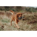 Jucărie din pluș pentru câini Hunter Gri 100 % Reciclat Urs