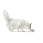 Dispozitiv de hrănire pentru câini Hunter Silicon Oțel inoxidabil 2,6 L