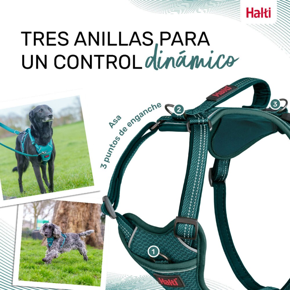 Ham pentru câini Company of Animals Turquoise L 42-65 cm