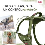 Ham pentru câini Company of Animals Verde M 35-55 cm