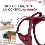 Ham pentru câini Company of Animals Bordo S 28-42 cm