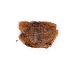 Hrană umedă Snackys Pește 600 g