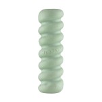 Jucărie pentru câine Nylabone SENSORY TACTILE STICK Verde Unt de arahide Bacon S