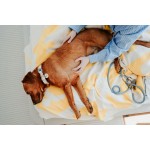 Zgardă pentru câini Hunter Malia Albastru M/L 45-54 cm