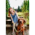 Lesă pentru câine Hunter MALIA Lămâie verde 1 x 200 cm