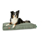 Pat pentru câine Hunter Belluno Verde 100 x 70 cm