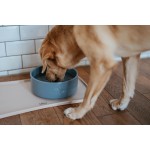 Dispozitiv de hrănire pentru câini Hunter OSBY GLAZED Albastru Ceramică 2,5 L