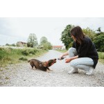 Jucărie pentru câini Hunter NEBRASKA Albastru Poliester Oaie