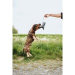 Jucărie pentru câini Hunter NEBRASKA Albastru Poliester Oaie